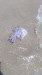 IMG-20220705-WA0002