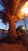 P_20220804_204857_vHDR_Auto